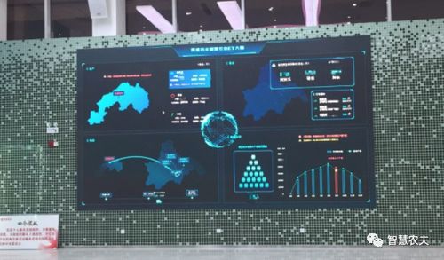 蔬菜大棚變身智慧工廠 計(jì)算機(jī)軟硬件開發(fā)賦能現(xiàn)代農(nóng)業(yè)遠(yuǎn)程管理